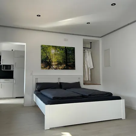 Rheinschatz 3 Apartament